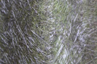 Clova fibreglass roof work